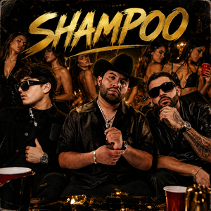 Shampoo