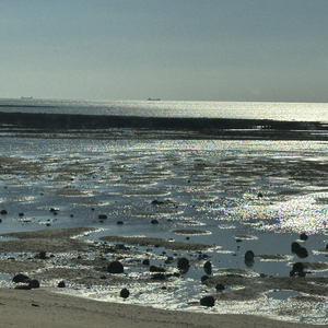 《慵懒日光道》