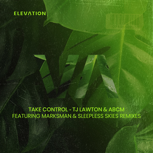 Take Control (Original Mix)