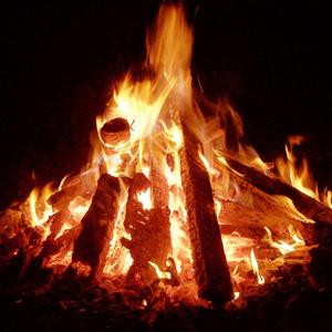 丛林的篝火晚会