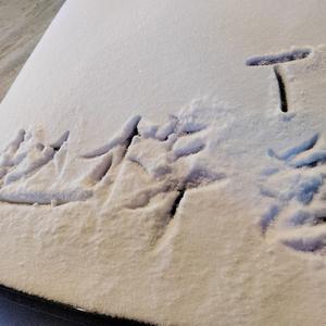 别非要让我大声说出来