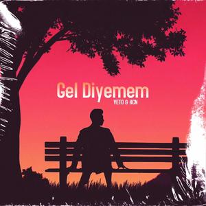 Gel Diyemem (feat. Veto)
