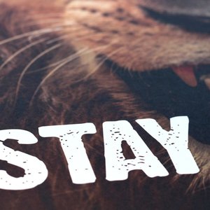 Stay（电子钢琴版）