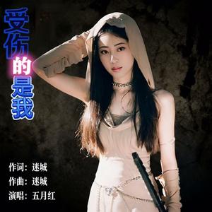 受伤的是我（新版DJ）