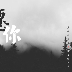愿你
