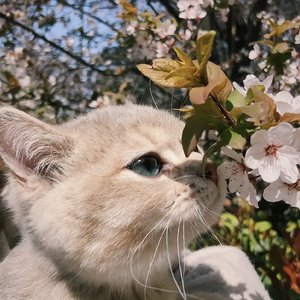 你是首POP 夹杂着R&B(如果你是一首歌)