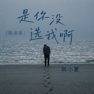 是你没选我啊(摇滚版)