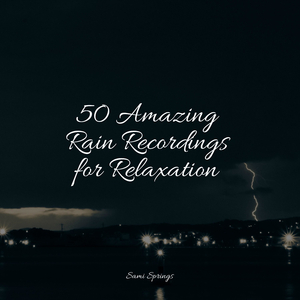 Forest, Cicadas, Light Wind