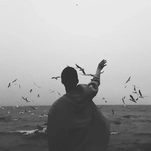 还你自由（零一九零贰）