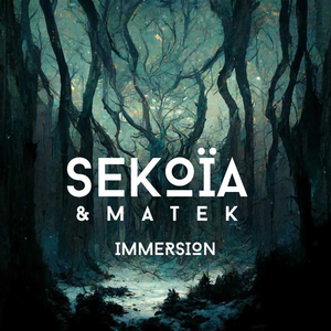 Immersion