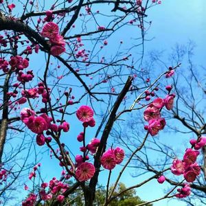 山河浩气壮千秋（合）