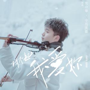 对不起，我爱你（雪の華） - 小提琴版