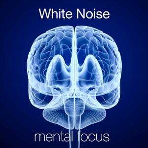 White Noise: Three Falls