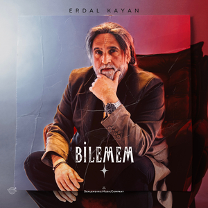 Bilemem