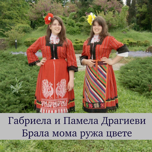 Брала мома ружа цвете