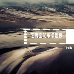 在爱面前不说抱歉