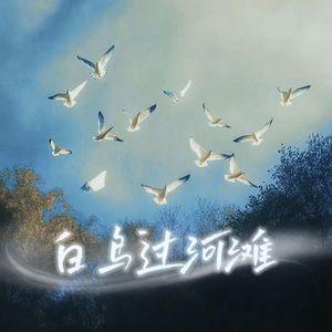 白鸟过河滩