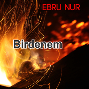 Birdenem