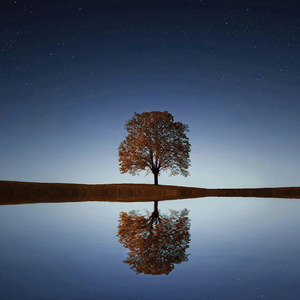 Whogotthekeys? (Remix)