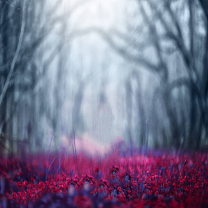 আল্লাহ তায়ালা বলেন অহংকার করা যাবে না