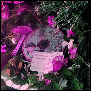 Aroma