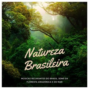 Ecos de Chuva Calmantes