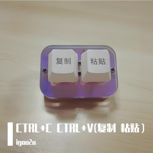 CTRL+C CTRL+V(复制粘贴）