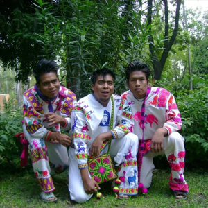 El Viento la Brisa y Tu Recuerdo