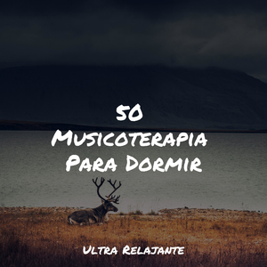 Brisa A Través De Las Edades