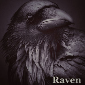 Raven 3