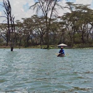 长江为什么这么长