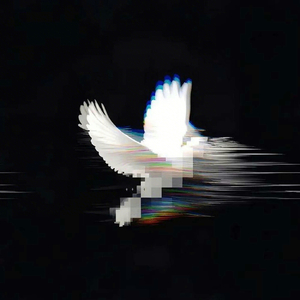 白起哥哥断了大FUNK