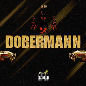 Dobermann