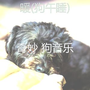 狗午睡(暖)