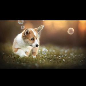 生米煮成熟饭 (2)