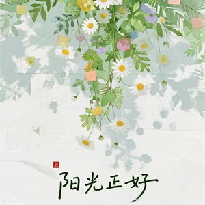 阳光正好