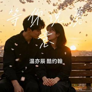 等你说愿意
