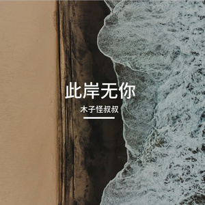 此岸无你