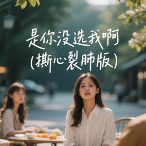 是你没选我啊  (撕心裂肺版) (兜有米。 Remix)