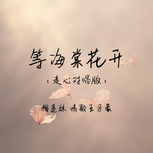 等海棠花开(走心对唱版)
