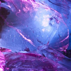 Terve maailm (feat. CSAAR)