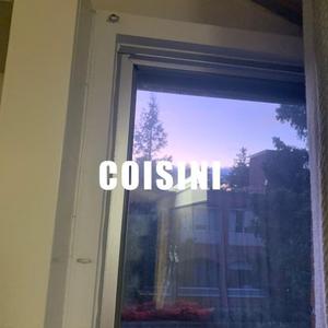 COISINI