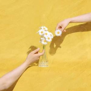 夏天的风（cover 蓝心羽）