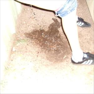 Feb, 10, 2024 6:43 AM