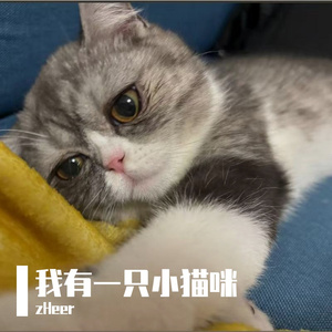 茶茶和我在厦门度过的一周岁生日