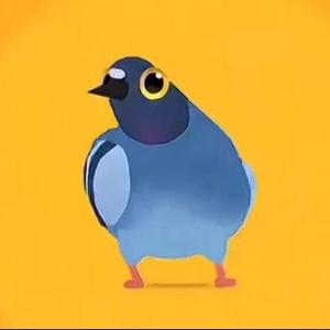 疯狂的鸽子(硬控版)