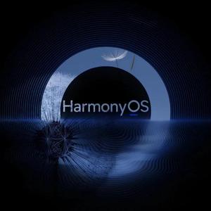 Patimang koynaki 【Duttar】