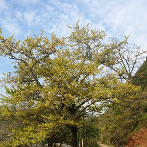 亲爱的不要离开我