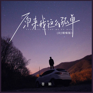 原来我这么孤单 (DJ烟嗓版)