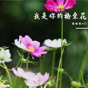 我是你的格桑花